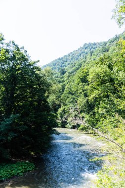 Crisul Repede Nehri. Padurea Craiului dağlarındaki Vadu Crisului mağarasına giden yolun manzarası. Apuseni, Romanya.