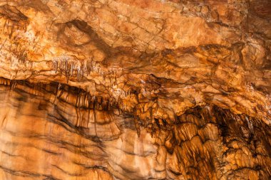Padurea Craiului dağlarından Vadu Crisului mağarası. Apuseni, Romanya.