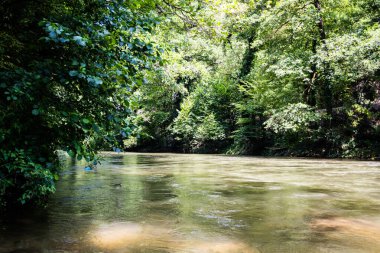 Crisul Repede Nehri. Padurea Craiului dağlarındaki Vadu Crisului mağarasına giden yolun manzarası. Apuseni, Romanya.