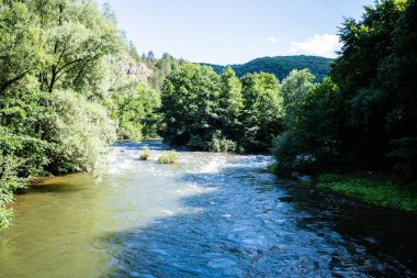 Crisul Repede nehri, Ungurul Mare mağarası yakınlarında. Apuseni dağları, Bihor, Romanya.