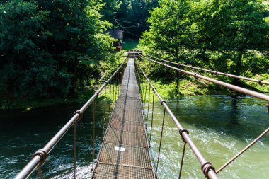 Crisul Repede nehri, Ungurul Mare mağarası yakınlarında. Apuseni dağları, Bihor, Romanya.