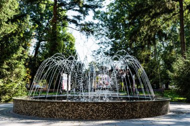 ORADEA, ROMANIA - 30 Temmuz 2021 Tarii Crisurilor Müzesinin avlusundaki Artesia çeşmesi.