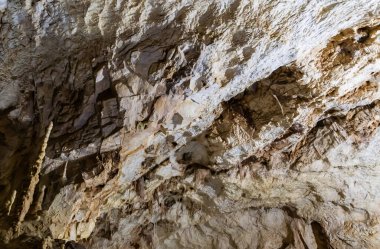 Romanya 'nın Bihor ilçesinden ayılar mağaraya girdi.