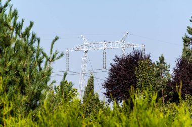 Bitkilerle çevrili yüksek voltajlı elektrik iletim kulesi..