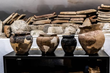 MANGALYA, ROMANIA - 31 Ağustos 2021: Tarih ve Arkeoloji Müzesi Callatis.