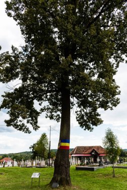 TEBEA, HUNEDOARA, ROMANIA - Eylül 05, 2021: Tebea 'dan anıt kompleksi. Kahramanlar Mezarlığı ve Ferdinand I ağacı..