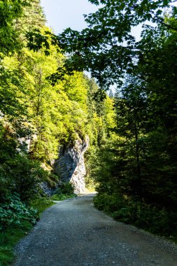 Rock 's Valley Ravine (Cheile Vaii Stanciului), Apuseni dağları, Cluj County, Romanya.