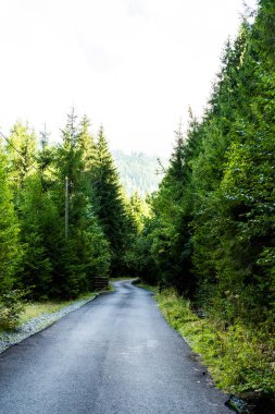 Belis Fantanele Gölü civarındaki Picturesque Yolu. Gilaului Dağları, Cluj Bölgesi. Romanya.