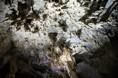 Romanya 'nın Bihor ilçesindeki Apuseni dağlarından Meziad mağarasının içi.