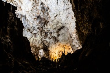 Romanya 'nın Bihor ilinin Chiscau kasabasından ayılar mağaraya girdi.