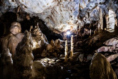 Romanya 'nın Bihor ilinin Chiscau kasabasından ayılar mağaraya girdi.
