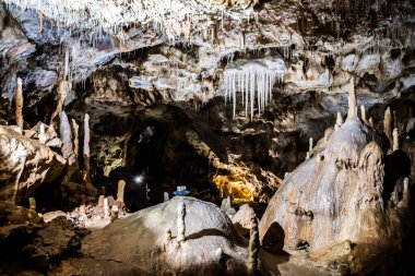Romanya 'nın Bihor ilinin Chiscau kasabasından ayılar mağaraya girdi.