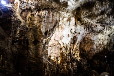 Romanya 'nın Bihor ilinin Chiscau kasabasından ayılar mağaraya girdi.