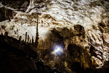 Romanya 'nın Bihor ilinin Chiscau kasabasından ayılar mağaraya girdi.