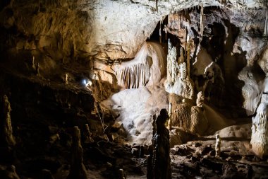 Romanya 'nın Bihor ilinin Chiscau kasabasından ayılar mağaraya girdi.