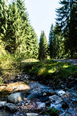 Varciorog şelalesine giden yol, Arieseni bölgesi, Alba ilçesi, Romanya.