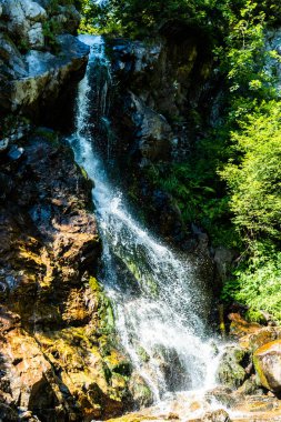 Varciorog şelalesi, Arieseni bölgesi, Alba ilçesi, Romanya.