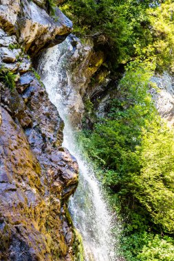Varciorog şelalesi, Arieseni bölgesi, Alba ilçesi, Romanya.