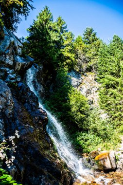 Varciorog şelalesi, Arieseni bölgesi, Alba ilçesi, Romanya.