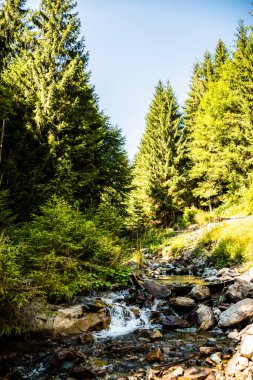Varciorog vadisi ve nehir. Varciorog şelalesine giden yol, Arieseni bölgesi, Alba ilçesi, Romanya.