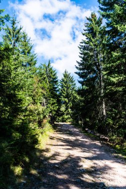 Groapa Ruginoasa yolu, Apuseni Dağları 'ndaki doğal rezervasyon. Romanya 'nın Bihor ilçesi.
