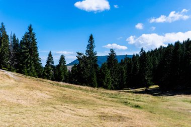Rusty Pit (Groapa Ruginoasa) yakınlarındaki otlaklar, Apuseni dağları, Bihor ilçesi, Romanya.