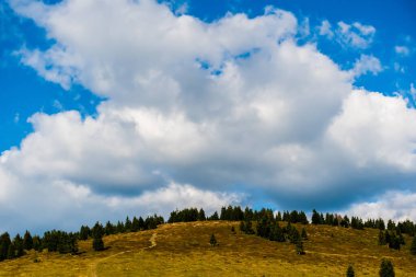 Romanya 'nın Bihor kentindeki Vartop köyü yakınlarındaki Alp tepeleri ve köknar ağaçlarıyla manzara.