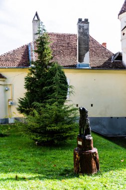 BRASOV, ROMANIA - 24 Eylül 2021 Catherine 'in kapısının yakınındaki heykel.