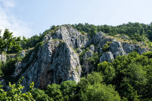 Krajina Cestě Jeskyně Vadu Crisului Padurea Craiului Hory Apuseni Rumunsko — Stock fotografie