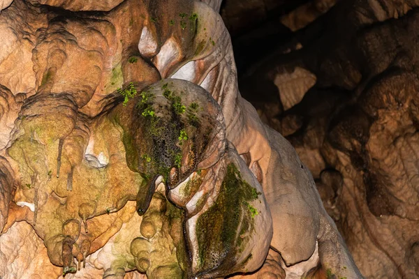 Grotte Vadu Crisului Des Montagnes Padurea Craiului Apuseni Roumanie — Photo