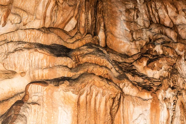 Vadu Crisului Grotta Från Padurea Craiului Bergen Apuseni Rumänien — Stockfoto