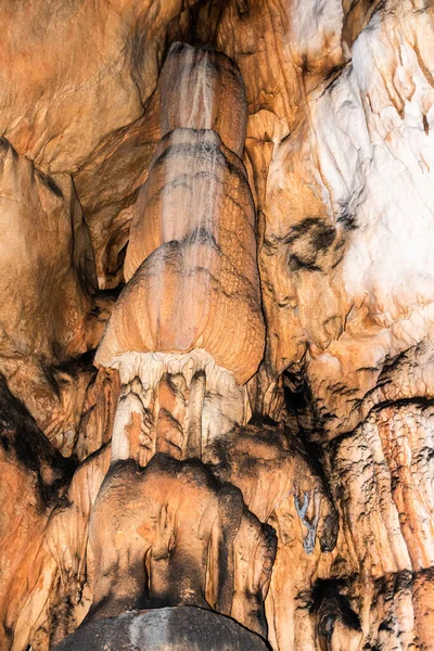 Grotte Vadu Crisului Des Montagnes Padurea Craiului Apuseni Roumanie — Photo