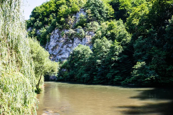 Crisul Repede Rivier Buurt Van Ungurul Mare Grot Apuseni Mountains — Stockfoto