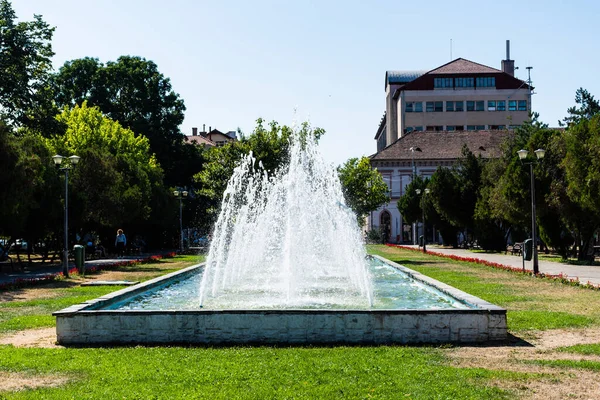 Oradea Roménia Julho 2021 Fonte Artesiana Primeiro Parque Dezembro — Fotografia de Stock