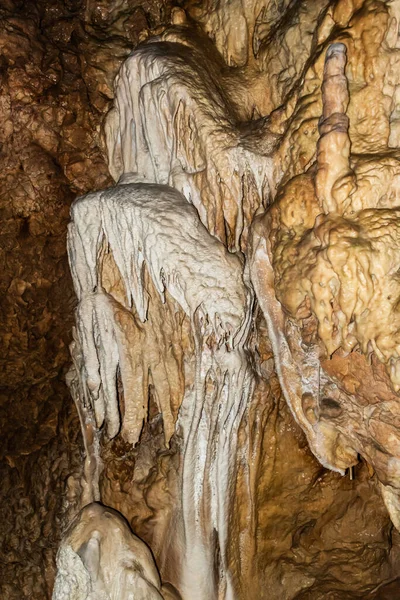 罗马尼亚比霍尔县的熊洞 — 图库照片