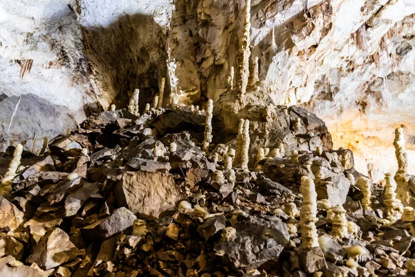 Romanya Nın Bihor Ilçesinden Ayılar Mağaraya Girdi — Stok fotoğraf