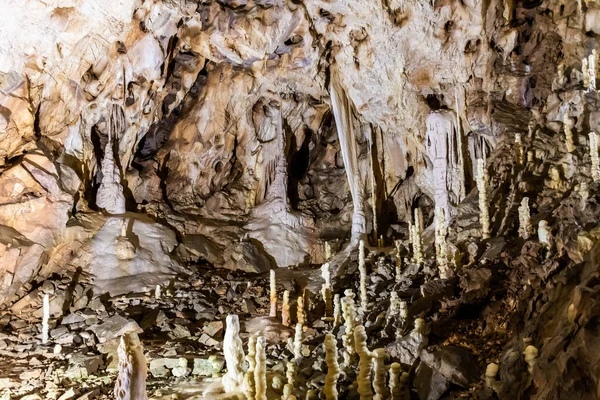 Grotte Ours Comté Bihor Roumanie — Photo
