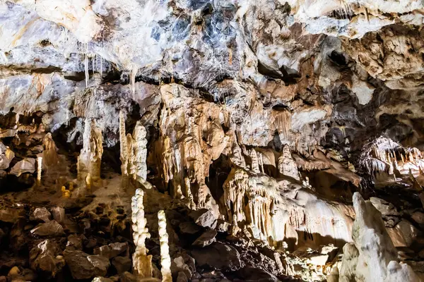 Romanya Nın Bihor Ilçesinden Ayılar Mağaraya Girdi — Stok fotoğraf
