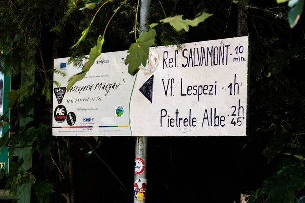 Cluj Romania 2021年9月6日 様々なハイキングトレイルの方向性を持つ標識 観光客向け路線標示 — ストック写真