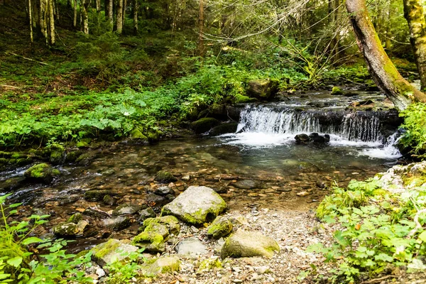 Vattenfall Vid Rachitele Floden Apuseni Bergen Stanciului Dalen Cluj County — Stockfoto