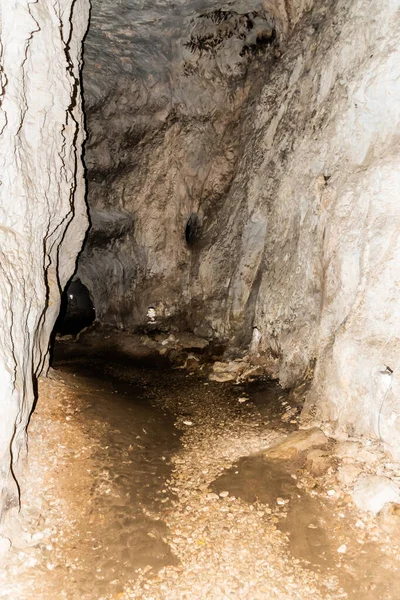 Intérieur Grotte Meziad Des Montagnes Apuseni Comté Bihor Roumanie — Photo