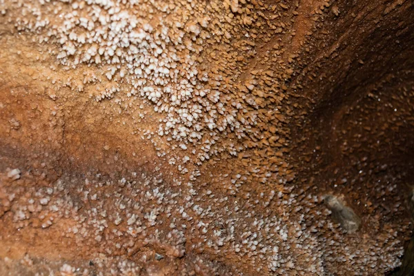 Crystal Cave Från Farcu Gruva Calcite Crystal Cave Apuseni Bergen — Stockfoto