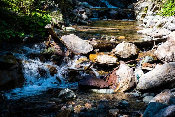 Vale Varciorog Rio Estrada Para Cachoeira Varciorog Área Arieseni Alba — Fotografia de Stock