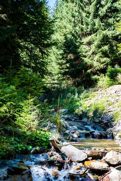 Varciorog Dalen Och Floden Vägen Till Varciorog Vattenfall Arieseni Området — Stockfoto