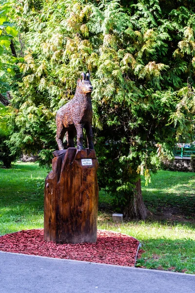 Brasov Rumania Septiembre 2021 Estatua Cabra Negra Frente Facultad Silvicultura — Foto de Stock