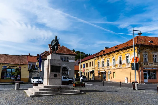 Brasov Romania September 2021 Union Square Piata Unirii Statue Unknown — 스톡 사진