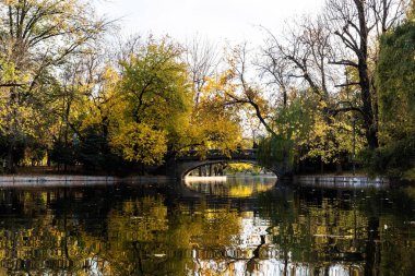 Sonbahar renklerinde Cismigiu parkı manzarası. Bükreş, Romanya.