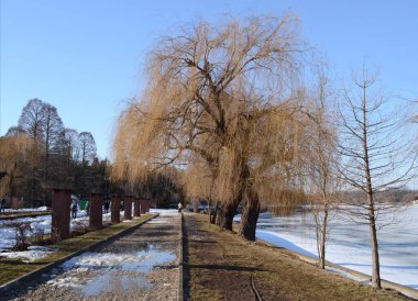 BUCHAREST, ROMANIA - 04 Mart 2012? Herastrau parkında güneşli bir günde karla kaplı bir sokak.