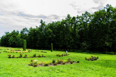 Orman manzarası, yaz aylarında kırmızı güller ve taze yeşil çimenler..