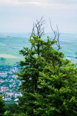 Pietricica dağından Piatra Neamt kasabasının manzarası.